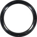 Reinz Shaft Oil Seal, 81-41219-00 81-41219-00